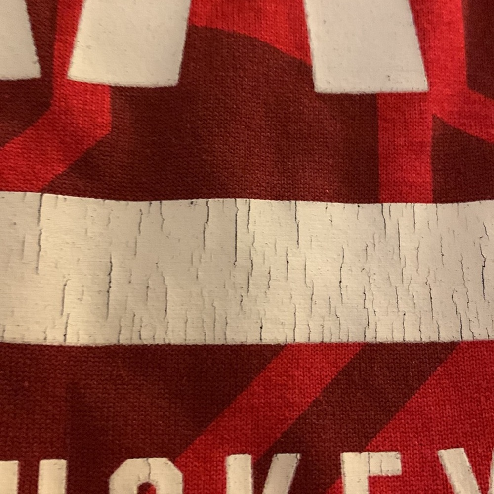 Nike Dri-Fit Ohio State Buckeyes t-shirt - Picture 4 of 8